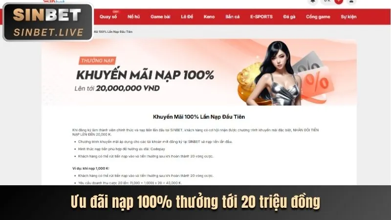 Hoàn trả hàng tuần 123b vnz